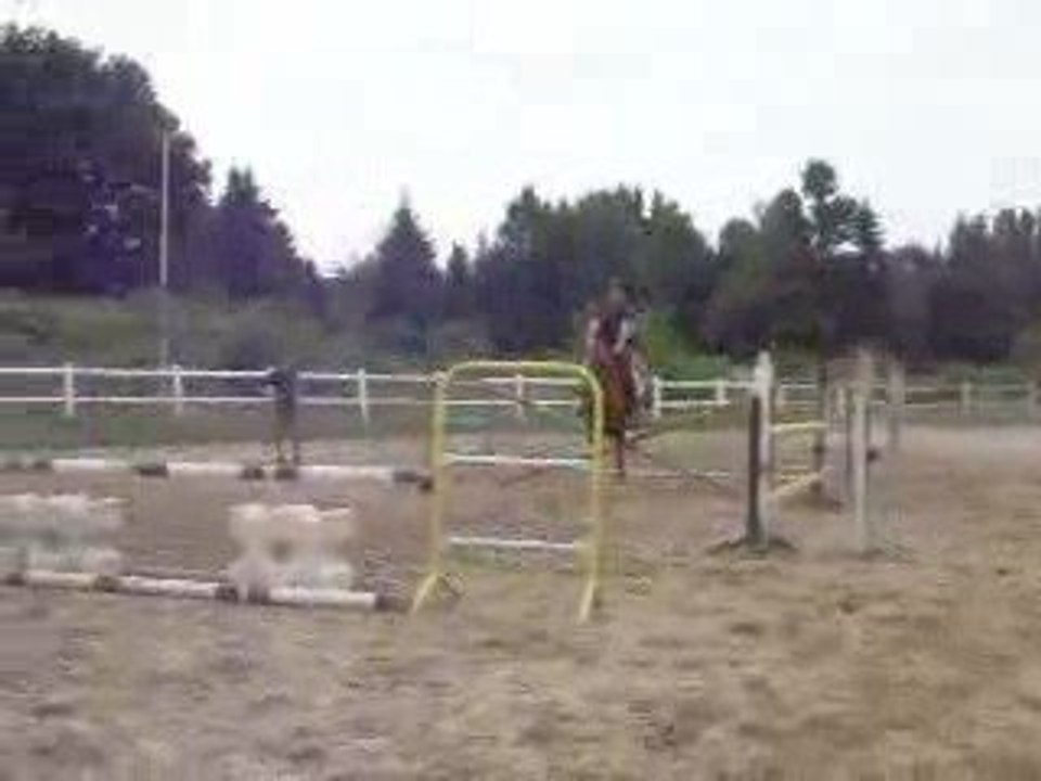 DSCN2102
