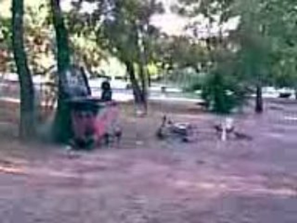Vidéo006