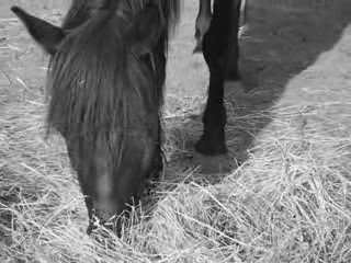 ikita (l) Je t'aime Plus Fort Que Tout Au Monde Entier :D