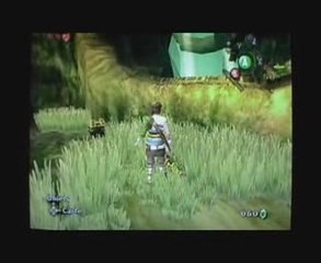 Zelda TP (GC) 03 dans la forêt