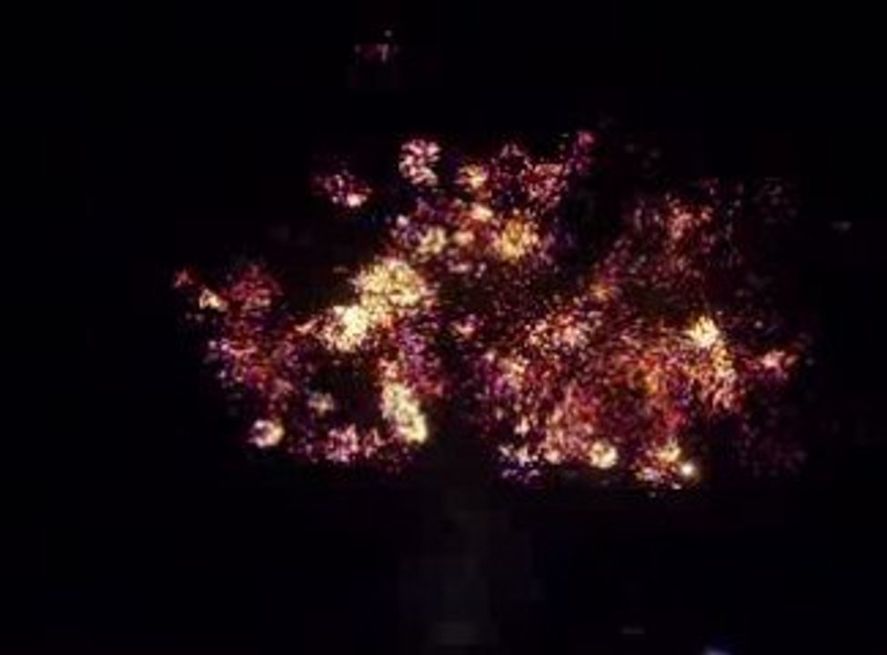 feu d'artifice dominator 25-07-09