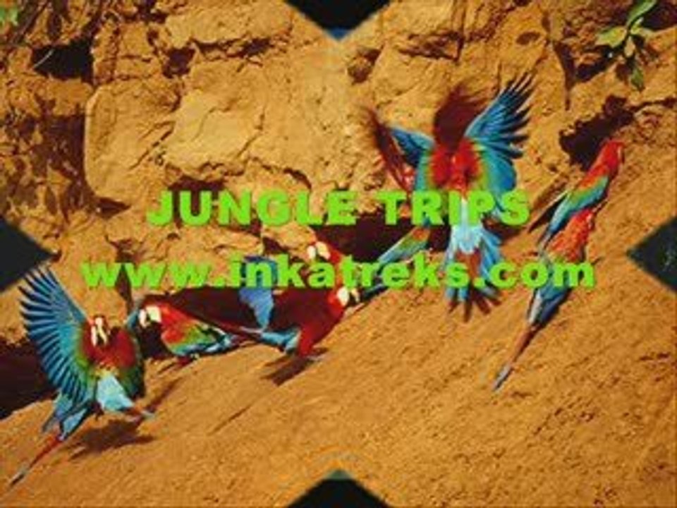 Peru Travel 18