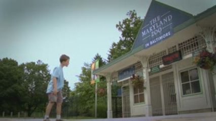 Get Out and Play — Lions at the Maryland Zoo