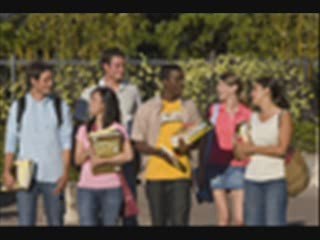 Education Consultancy