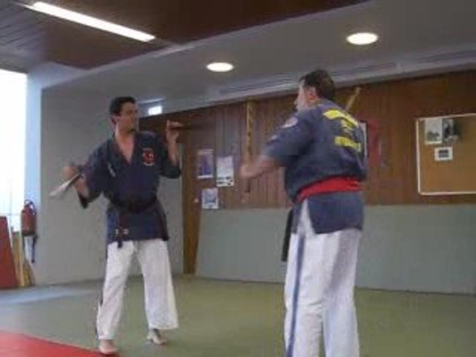 Tonfa et Arnis