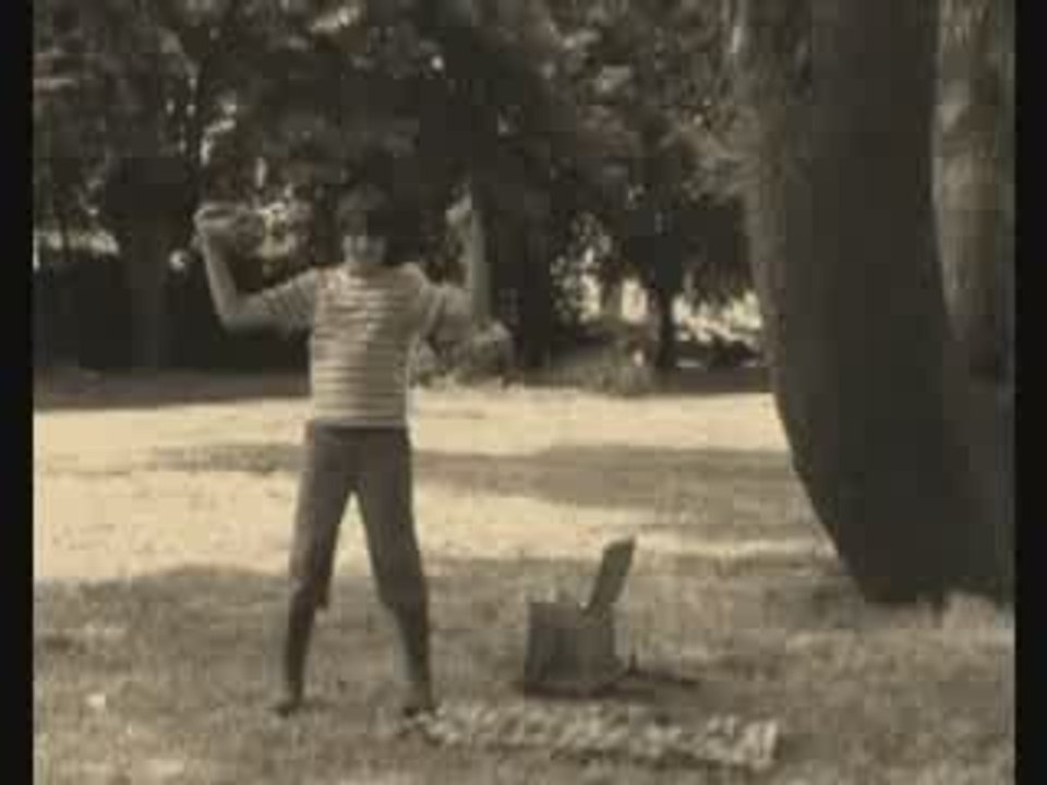 La Pêche - Cinéma d'animation