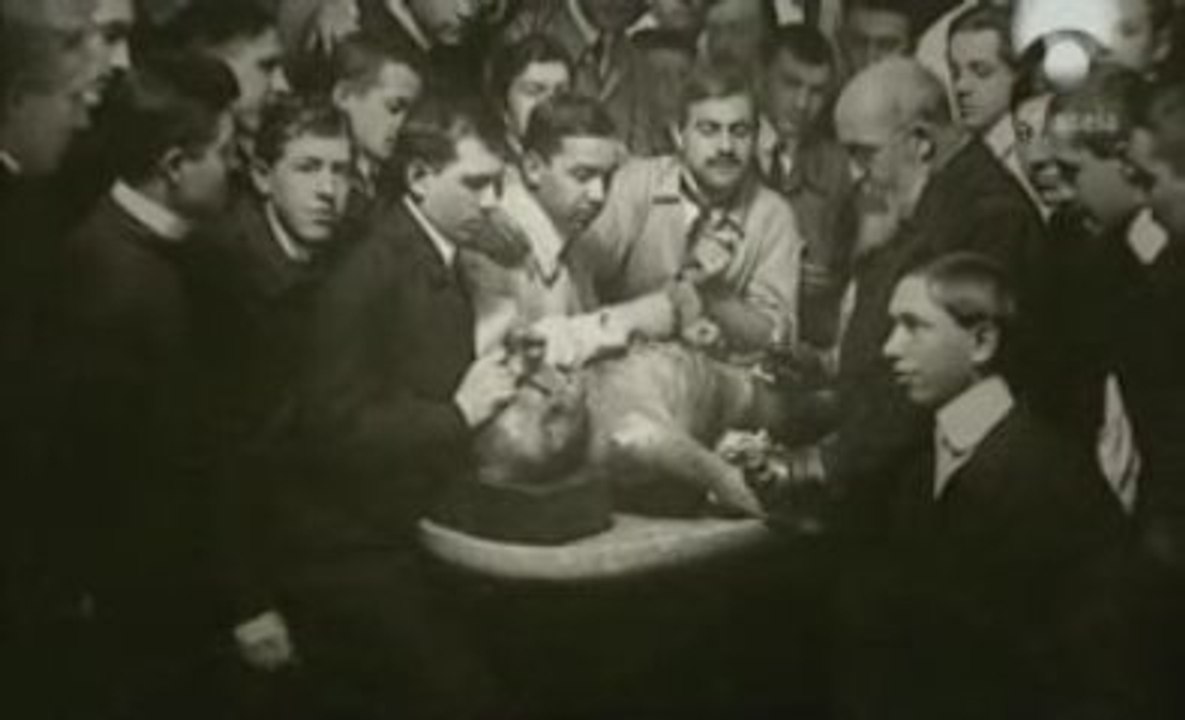 Semmelweis y las infecciones nosocomiales