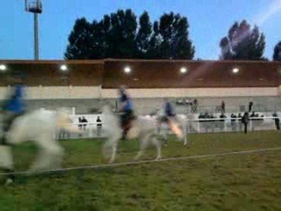 Depart championat de france 130Km endurance equestre