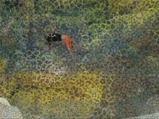 Trailer-Shukran-The Oman Experience