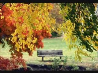 100 CLI Commands in Brief