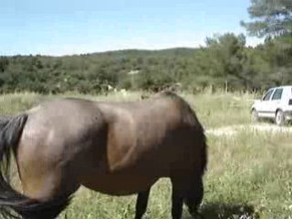 MOV04406