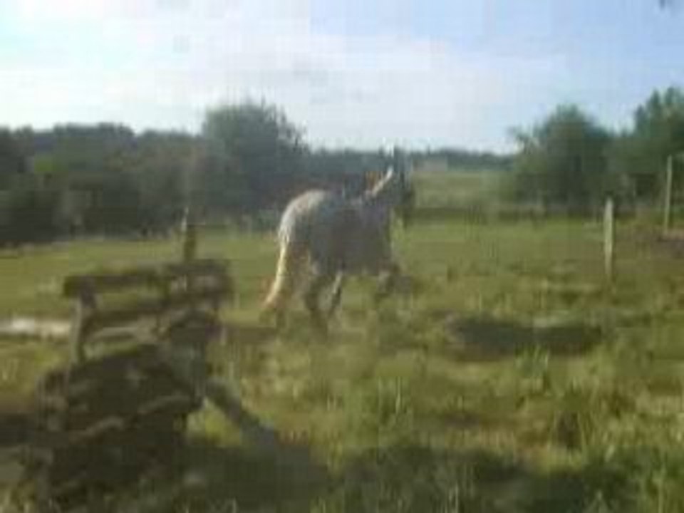 13 juin 08 (4)