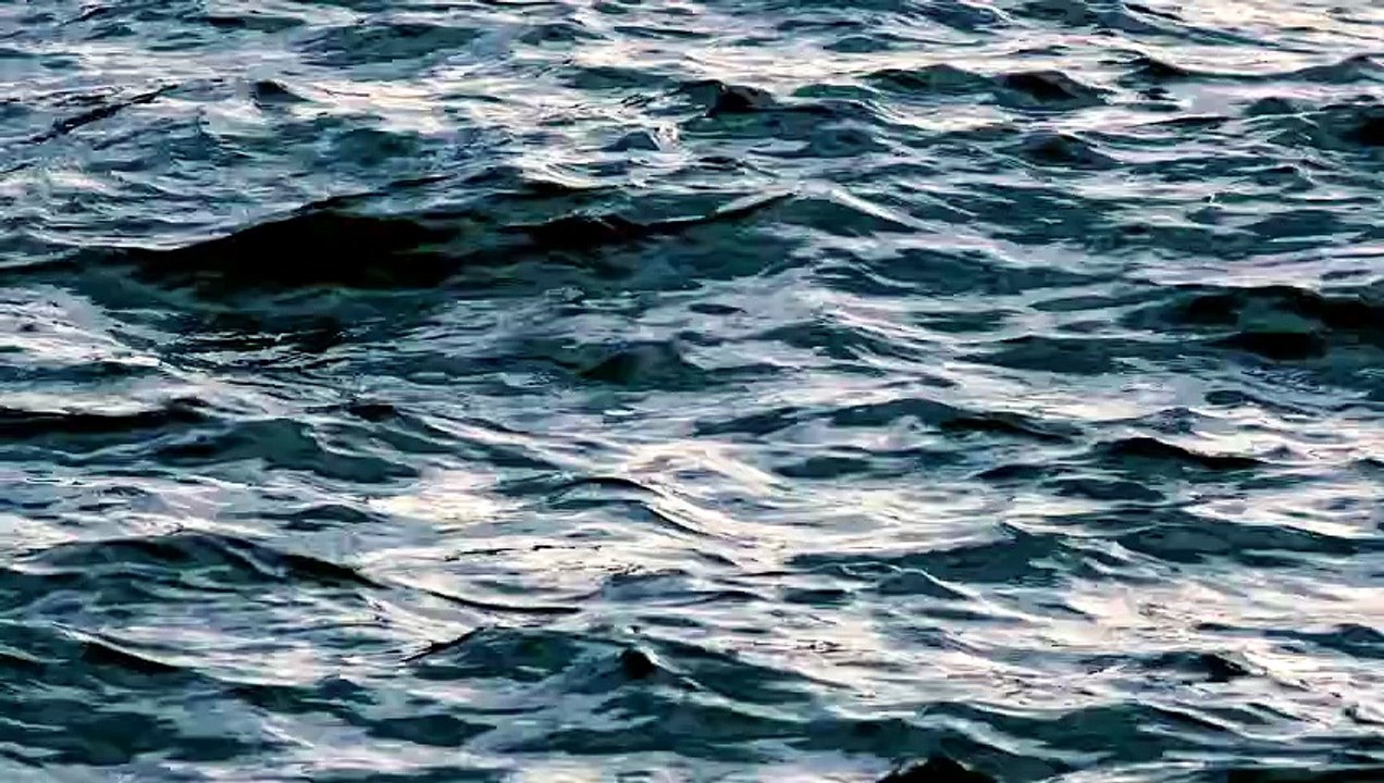 244839_medium