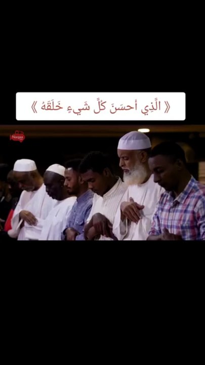 الذي احسن كل شئ خلقه