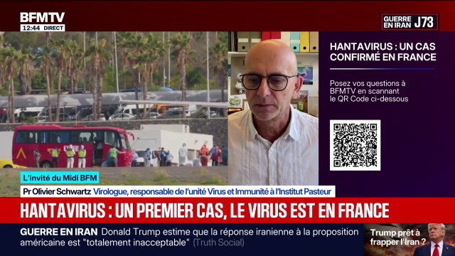 Hantavirus: On a affaire à une famille de virus qui est déjà connue: il y a presque 50 membres différents , explique le Pr Olivier Schwartz, virologue
