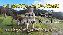 ≋ ⁂ 《||Coinbase®||》 {Wallet SuppoRt}™SERVICES™ — Toll-Free Numbers & Support Options
