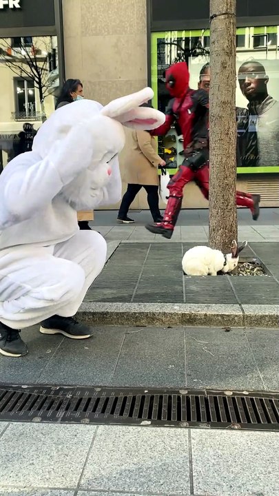 Welcome to the rabbit hub !