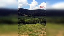 Türkiye'nin en gizemli göçmenleri geldi... Trakya semalarından eşsiz manzara