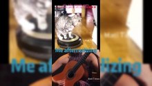 Hilarious Funny Moments Compilation You Can’t Miss