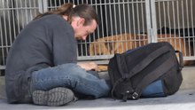 How to Read a Shelter Dog's Temperament and Find a Good Match