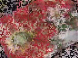 Hidayet Doğan - Yalvara Yakara