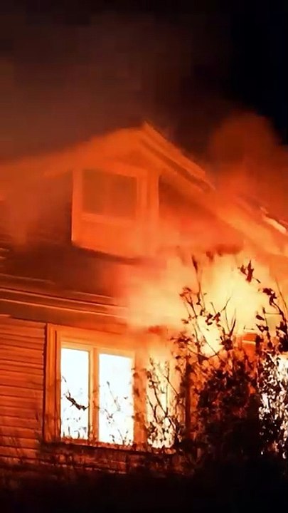 After the Fire: The Real Damage Begins | Green Planet Restoration