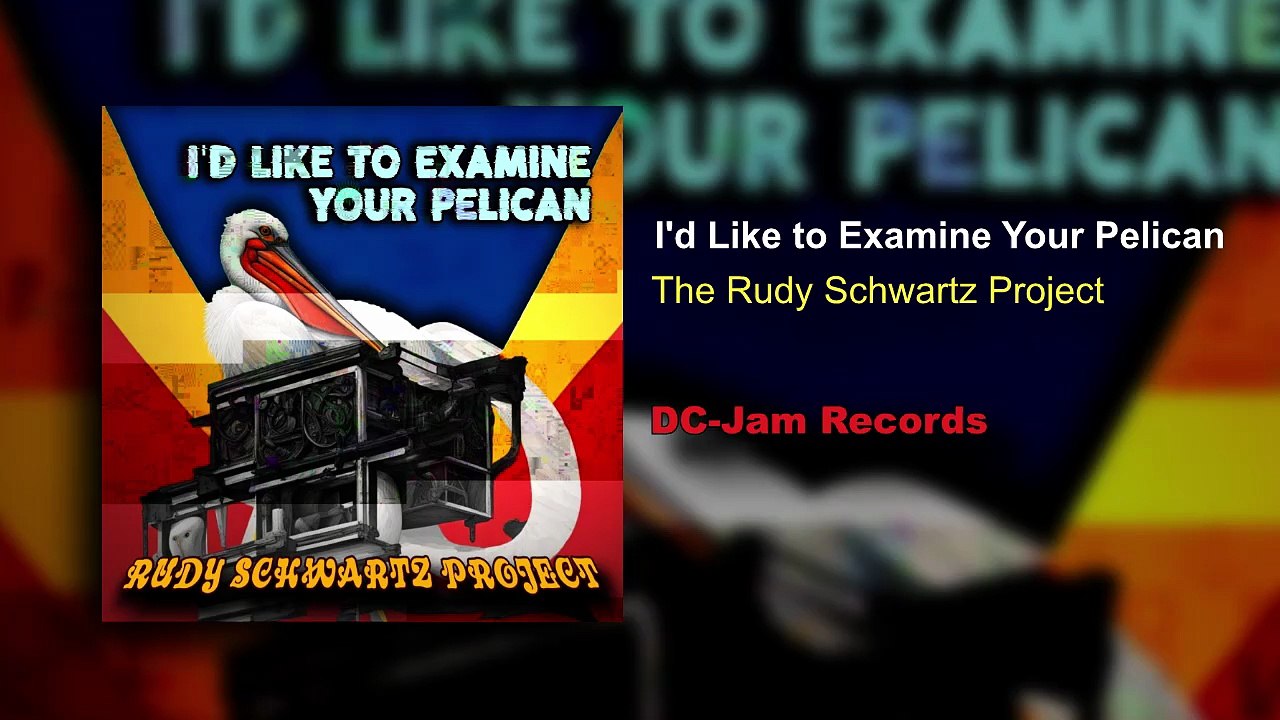 The Rudy Schwartz Project - I'd Like to Examine Your Pelican
