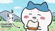 Chiikawa EP282 「スープ付きお昼／赤福」