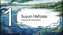 Aral’ın Hüznü – Dr. Alper Sezener