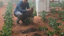How NASA Grew a Potato on the International Space Station