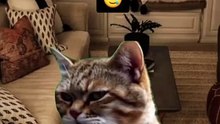 ضحك 😂 أقوى المواقف المضحكة والاقتباسات التحفيزية
