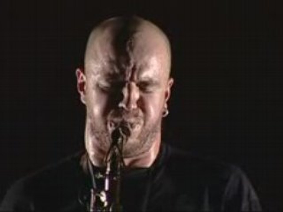 Têtes Raides - L'iditenté - Chanson Française