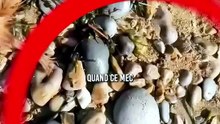 Ce quil a trouvé 😱