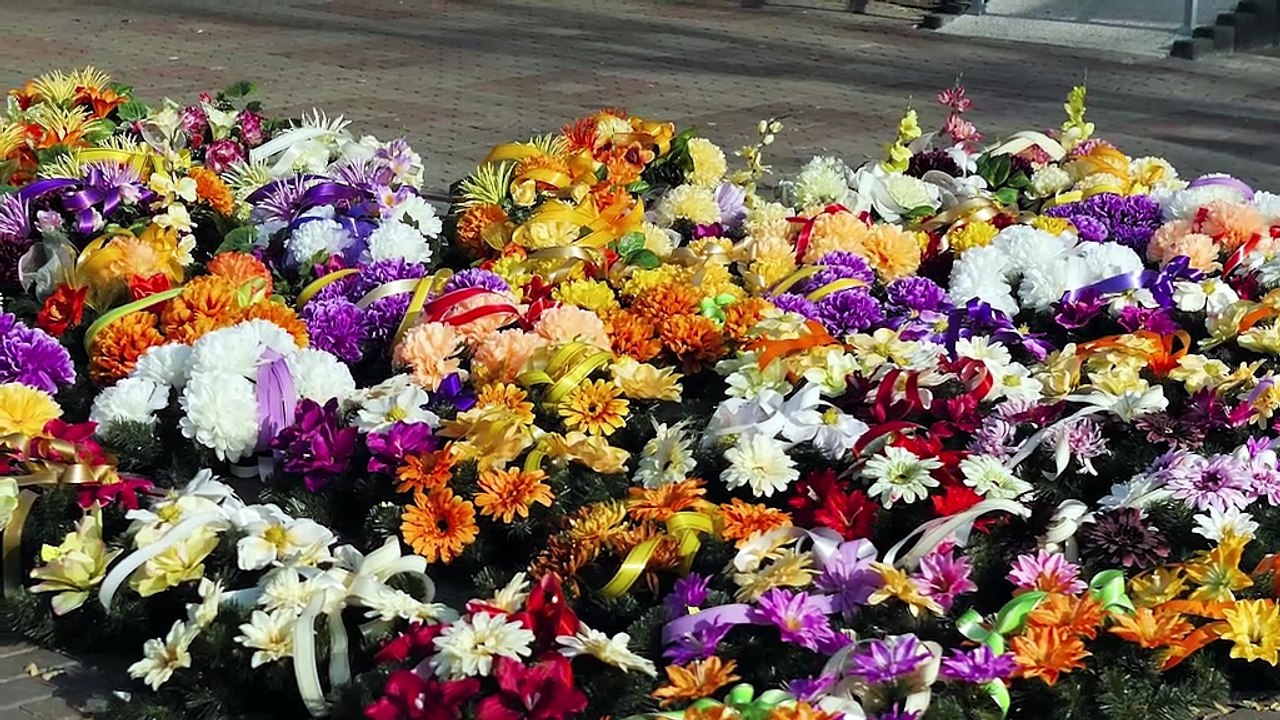 21.000 toneladas y 330 vuelos: así mueve Colombia millones de flores hacia Estados Unidos