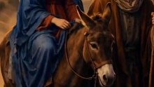 A perda e o reencontro de Jesus no templo.