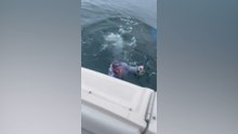 The Fail Files