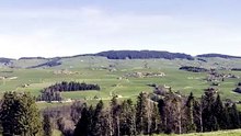 IMG_0646