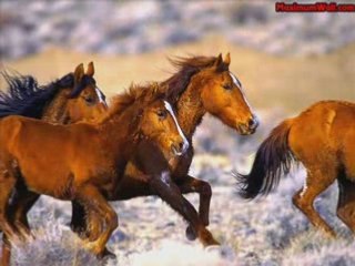 Isabelle boulay une pure voix et dor