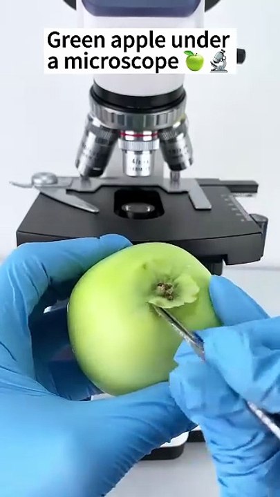 Apple under microscope