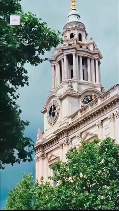 Ms. Ceo’S Baby Daddy Is The Merchant Of Death ️