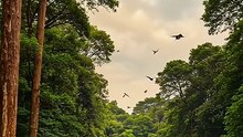 1 Hour of Nature in 30 Seconds | Ultra-Realistic Cinematic Time-Lapse (4K)