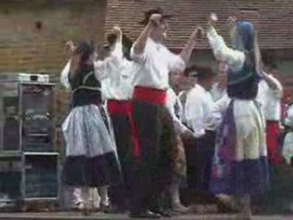 Cana verde