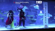 Coreia do Sul: mergulhadores assinalam Ano Novo Lunar com espetáculo subaquático em Seul
