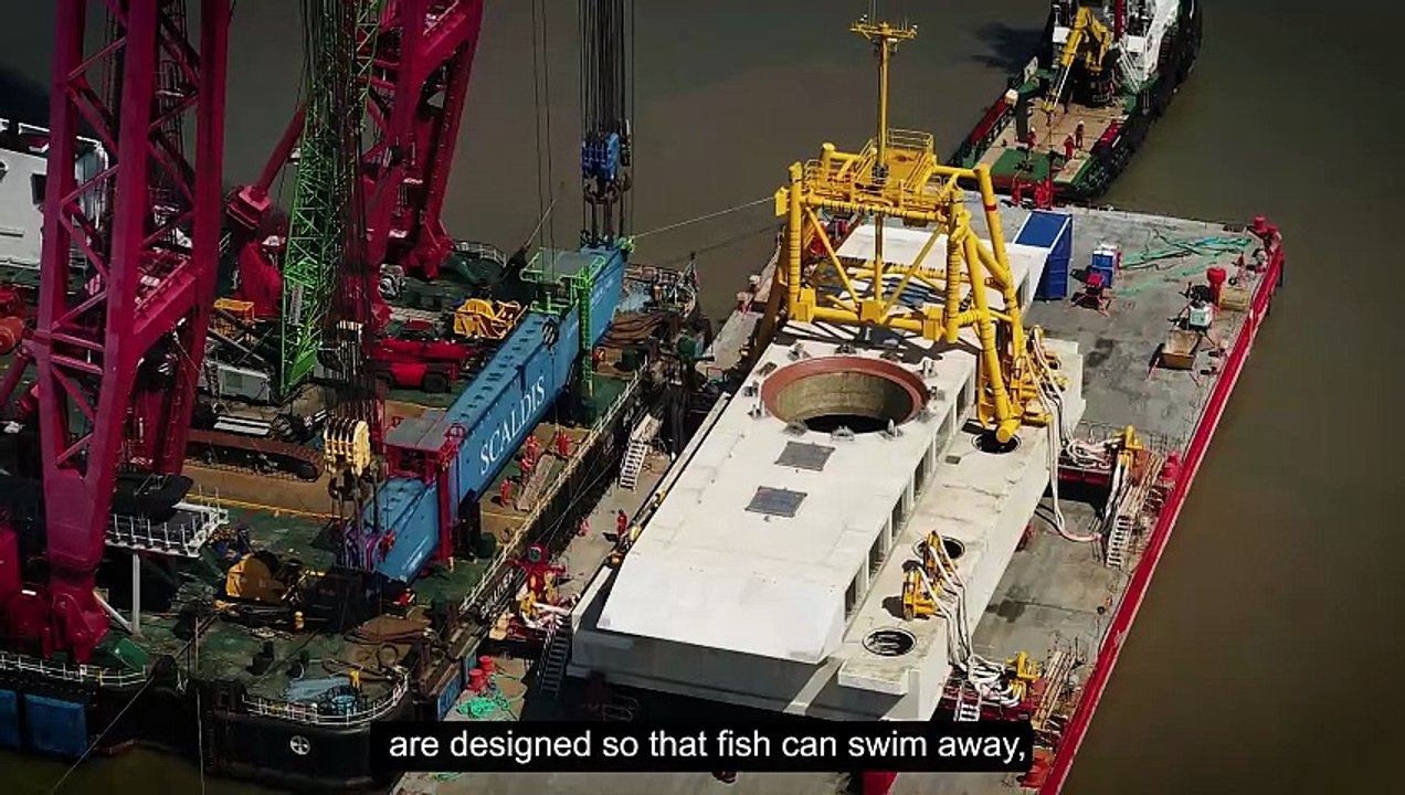 Explaining Hinkley C's ultrasound system for saving fish in the Bristol ...