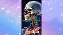 DIGESTIVE PROCESS, GARLIC 🧄, HUMAN BODY, EDUCATIONAL VIDEO.