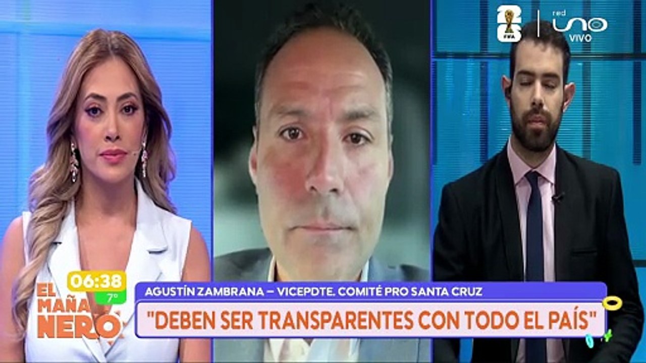 VICEPRESIDENTE COMITE CIVICO
