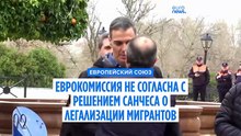 Эксклюзив: Еврокомиссия не согласна с решением Санчеса о легализации нелегальных мигрантов