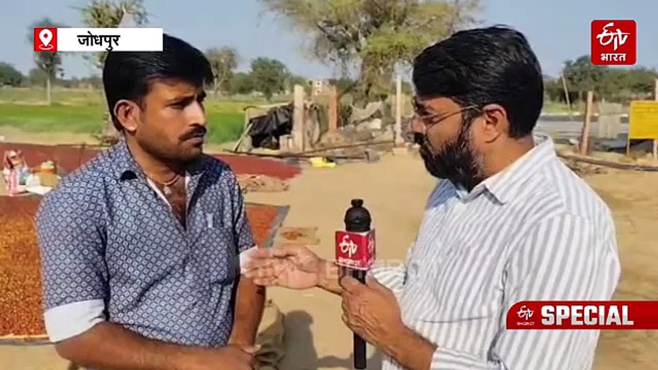 मेकेनिक से 'बैर किंग' बनने का सफर: जोधपुर के राजेंद्र ने बेकार गिरे बैर से बदली किस्मत, बनाया 50 गांवों को लखपति