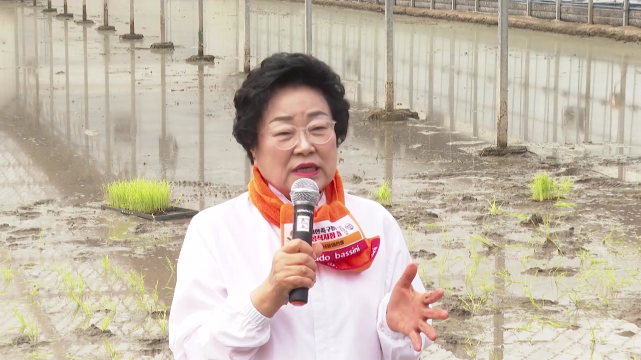 [경기] 이천시, 전국 첫 모내기...6월에 '임금님 쌀' 수확 / YTN