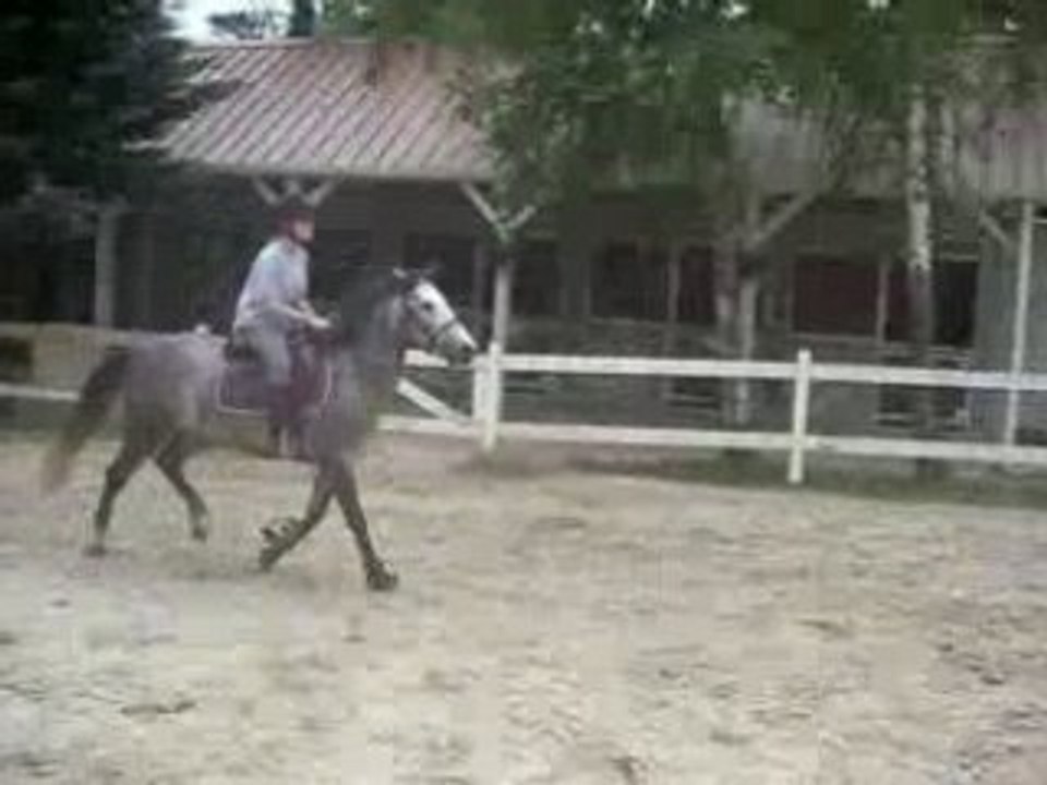 Plum et moi